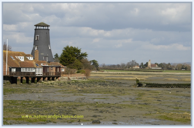 hayling island views landscape-004.jpg - LOOKING ACROSS TO WARBLINGTON